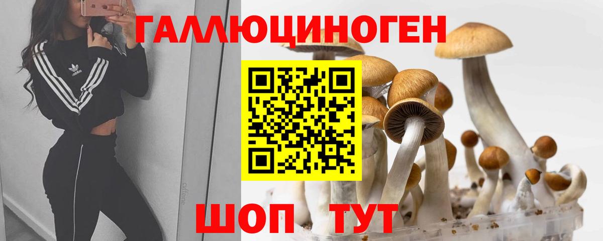Углич  купить закладку  Вход с VPN  Галлюциногенные грибы прущие грибы 