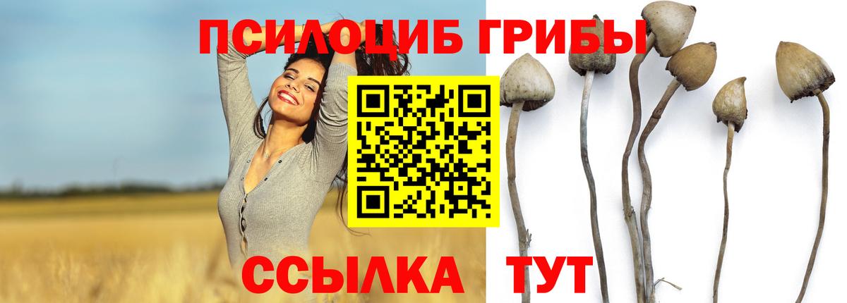 Псилоцибиновые грибы прущие грибы Углич